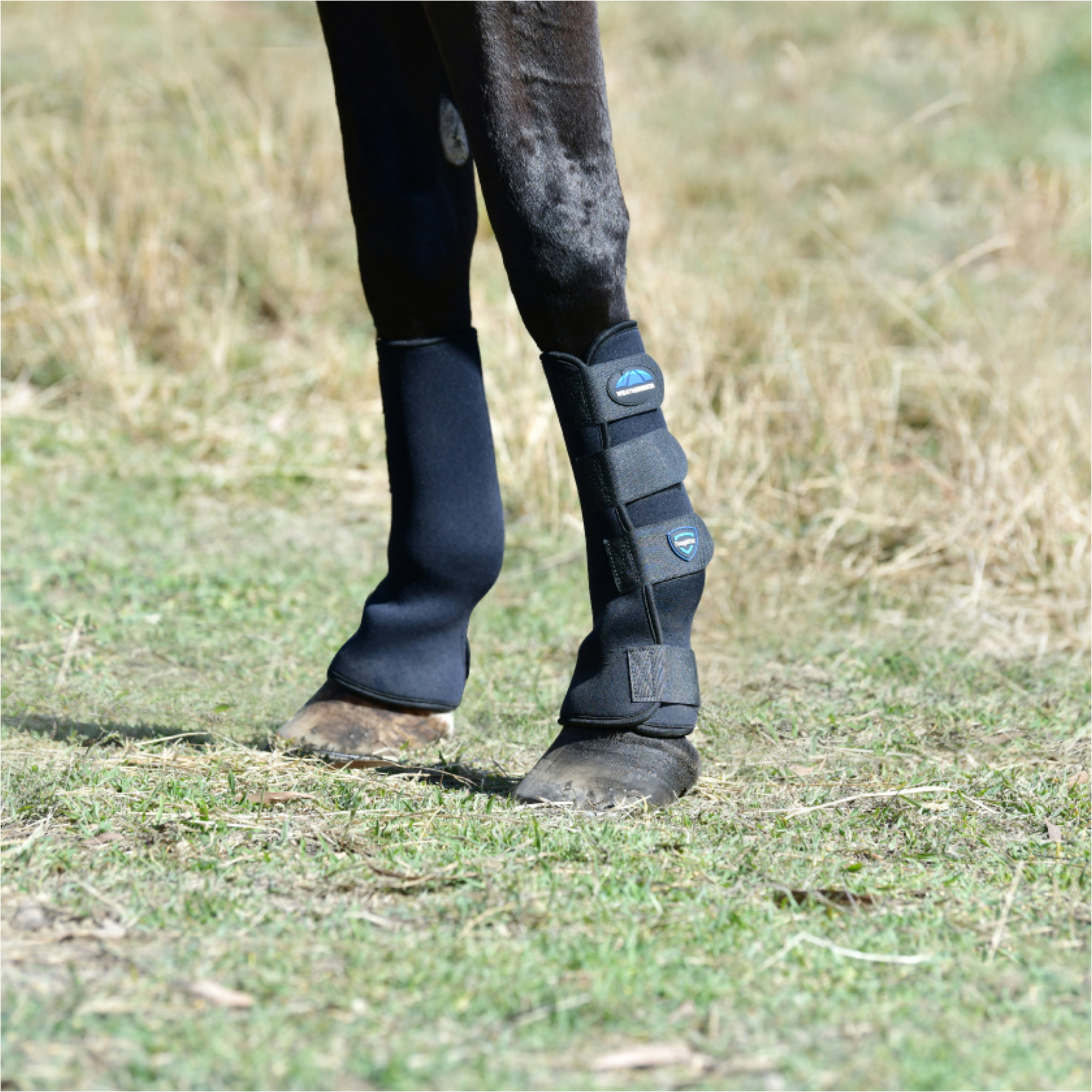 2025 Weatherbeeta Tough-Tec Turnout Boots 1027572 - Blue